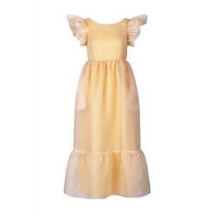 NEW MAISON AMORY heavenly dress in apricot